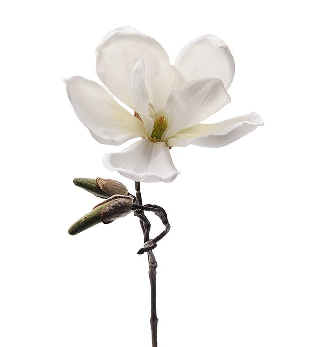 Magnolia Vit 30cm, Snittblommor, Konstgjorda blommor - Mr. Plant