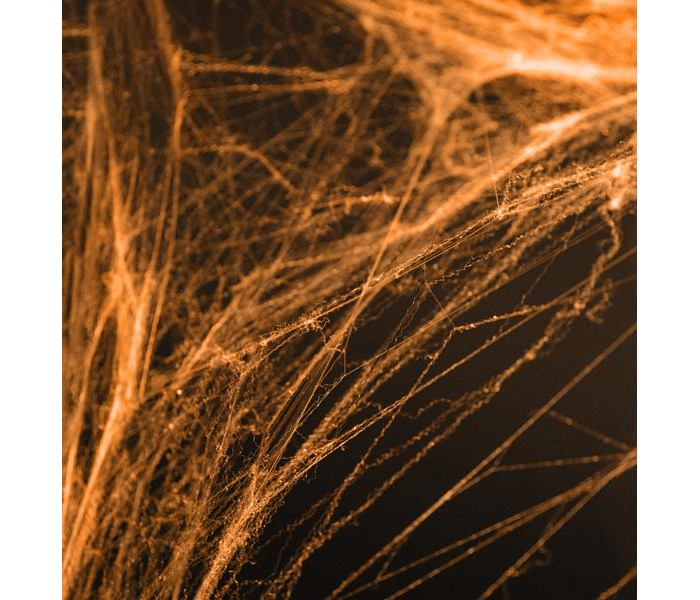 Orange Spindelnät med Spindlar Spiderweb Halloween Dekorationer- PartyDeco
