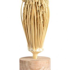 TOOTHPICK Rivsalt™