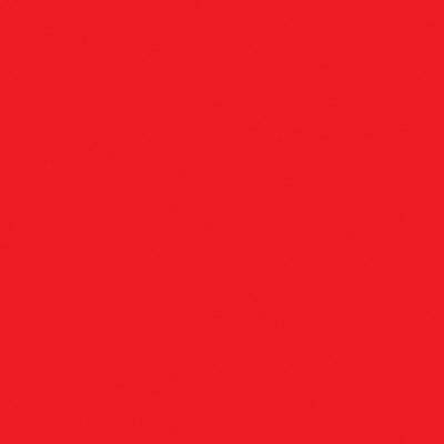 Röd Pastafärg Berry Red 25g - PME