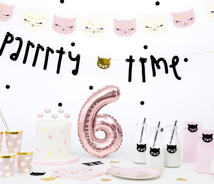Girlang - Parrrty time - Meow Party Vimpel Backdrop